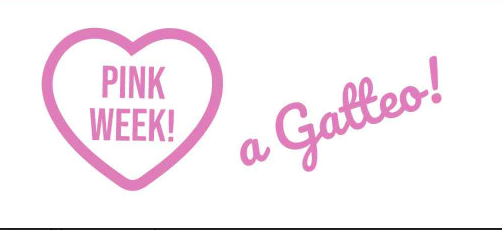 La notte rosa Gatteo